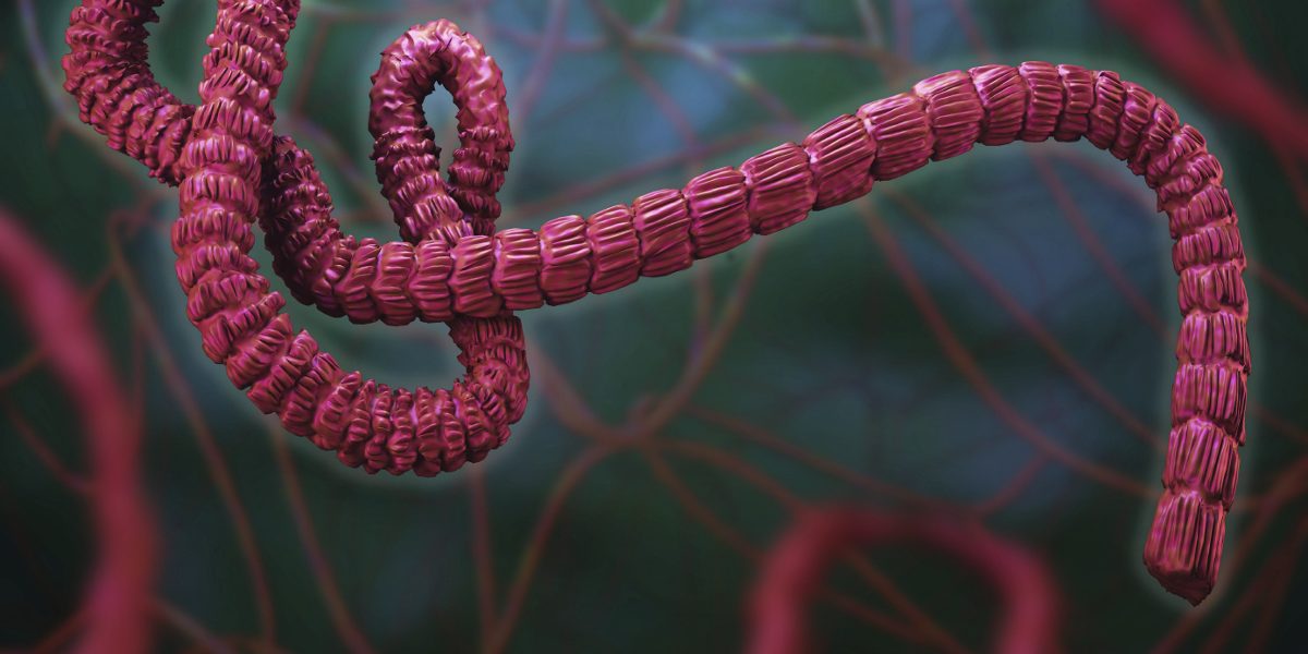 Ebola_Virus_Infection